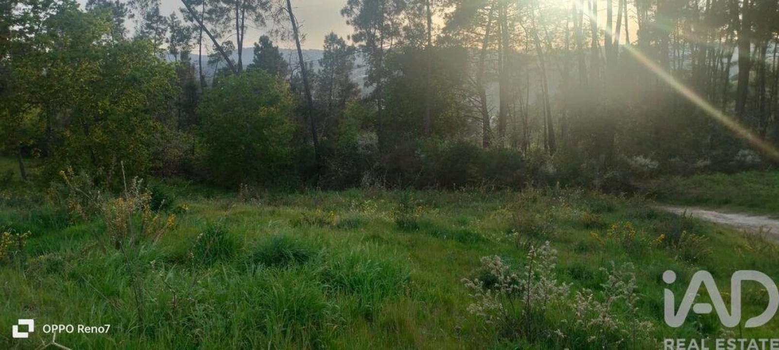 Terreno para Venda em Sande e São Lourenço Foto 23