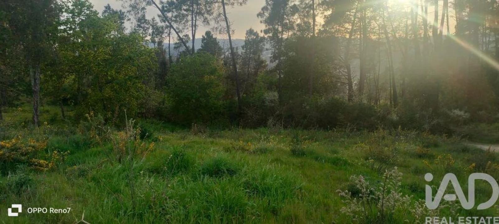 Terreno para Venda em Sande e São Lourenço Foto 4