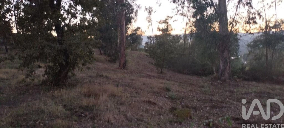 Terreno para Venda em Sande e São Lourenço Foto 24
