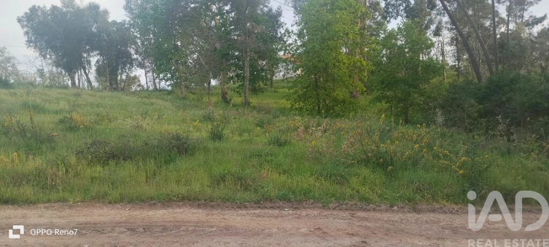 Terreno para Venda em Sande e São Lourenço Foto 10