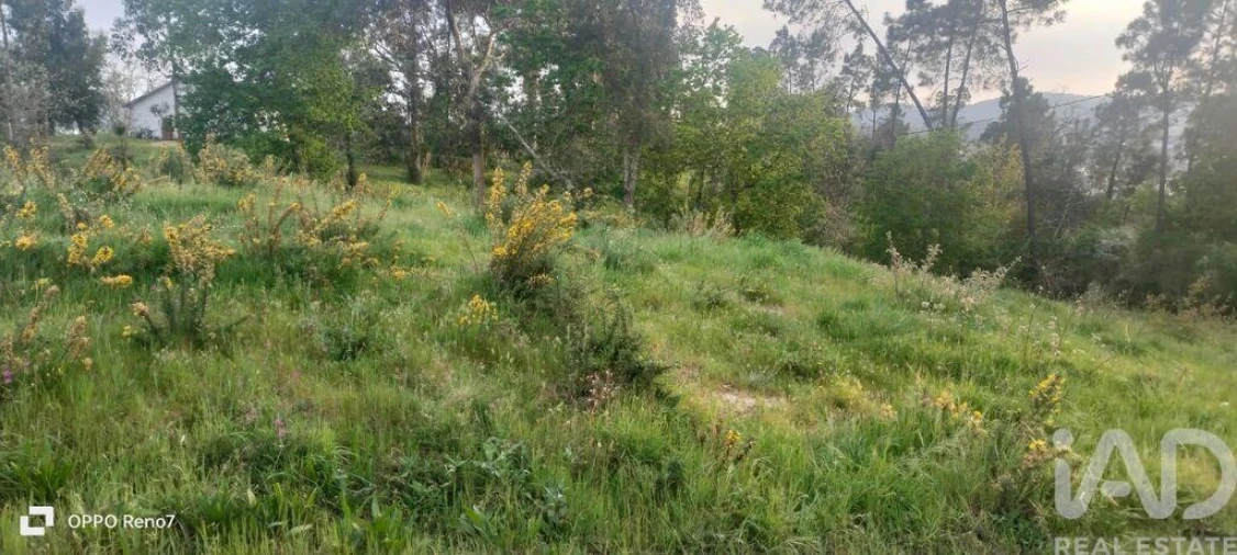 Terreno para Venda em Sande e São Lourenço Foto 13