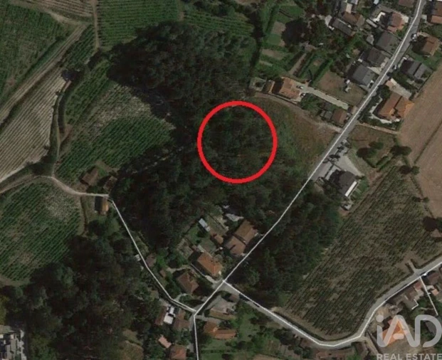 Terreno para Venda em Sande e São Lourenço Foto 30