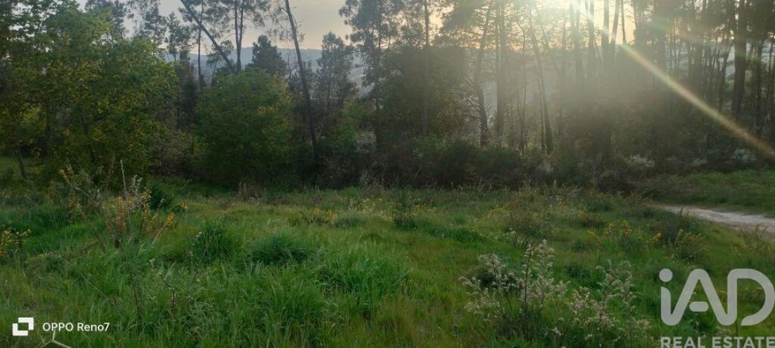 Terreno para Venda em Sande e São Lourenço Foto 22