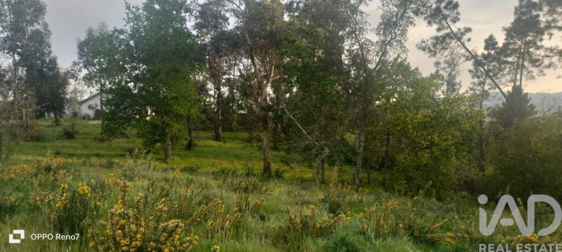 Terreno para Venda em Sande e São Lourenço Foto 18
