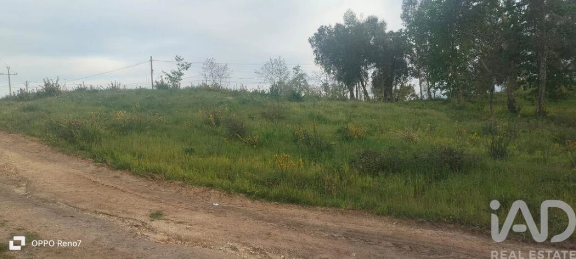 Terreno para Venda em Sande e São Lourenço Foto 4