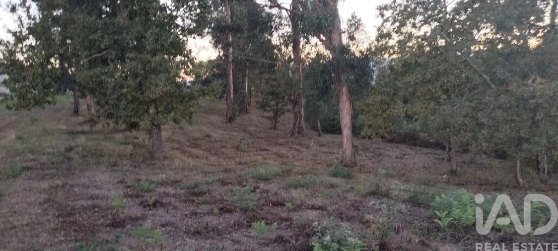Terreno para Venda em Sande e São Lourenço Foto 28
