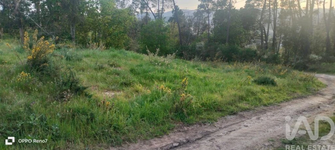 Terreno para Venda em Sande e São Lourenço Foto 7