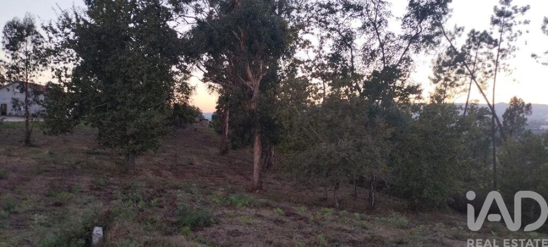Terreno para Venda em Sande e São Lourenço Foto 26