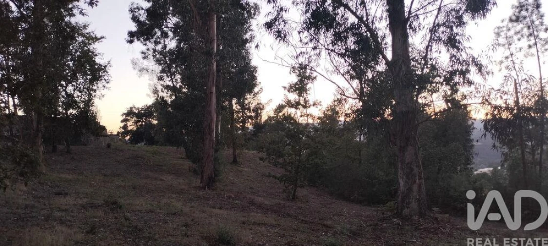 Terreno para Venda em Sande e São Lourenço Foto 25