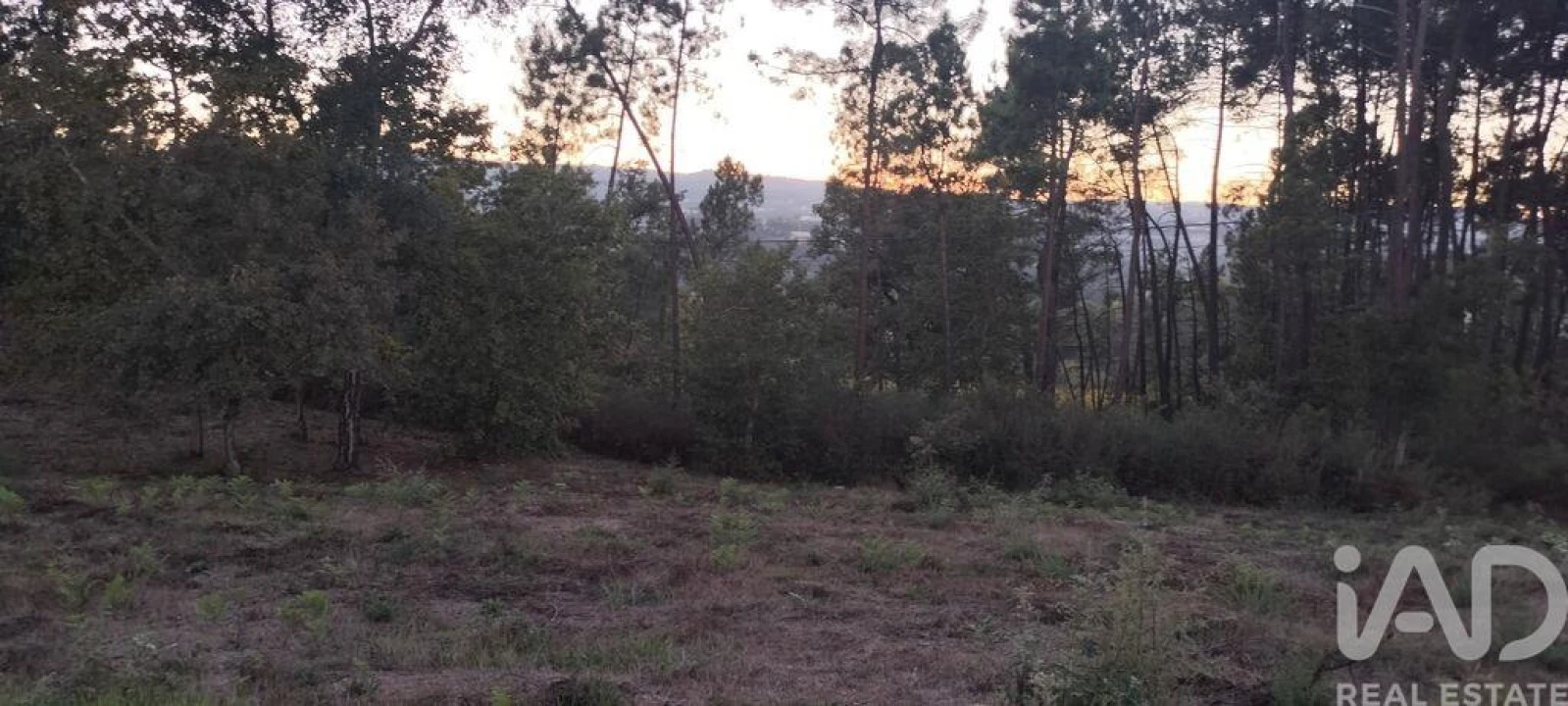 Terreno para Venda em Sande e São Lourenço Foto 25