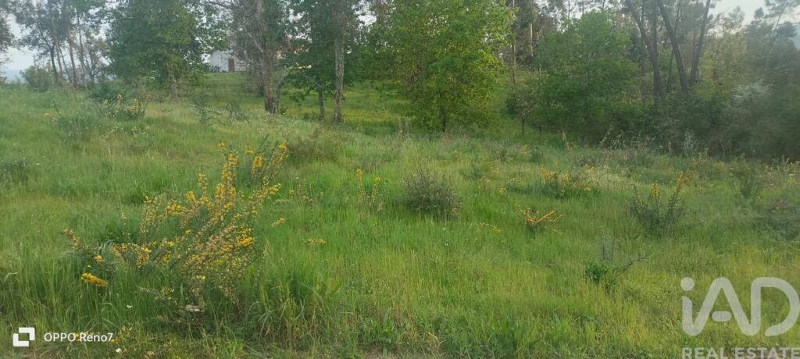 Terreno para Venda em Sande e São Lourenço Foto 7