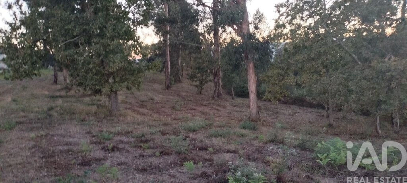 Terreno para Venda em Sande e São Lourenço Foto 29