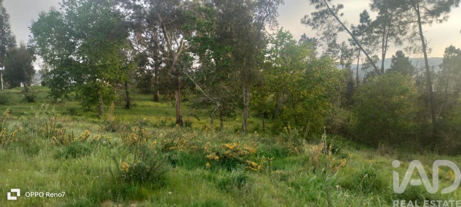 Terreno para Venda em Sande e São Lourenço Foto 21