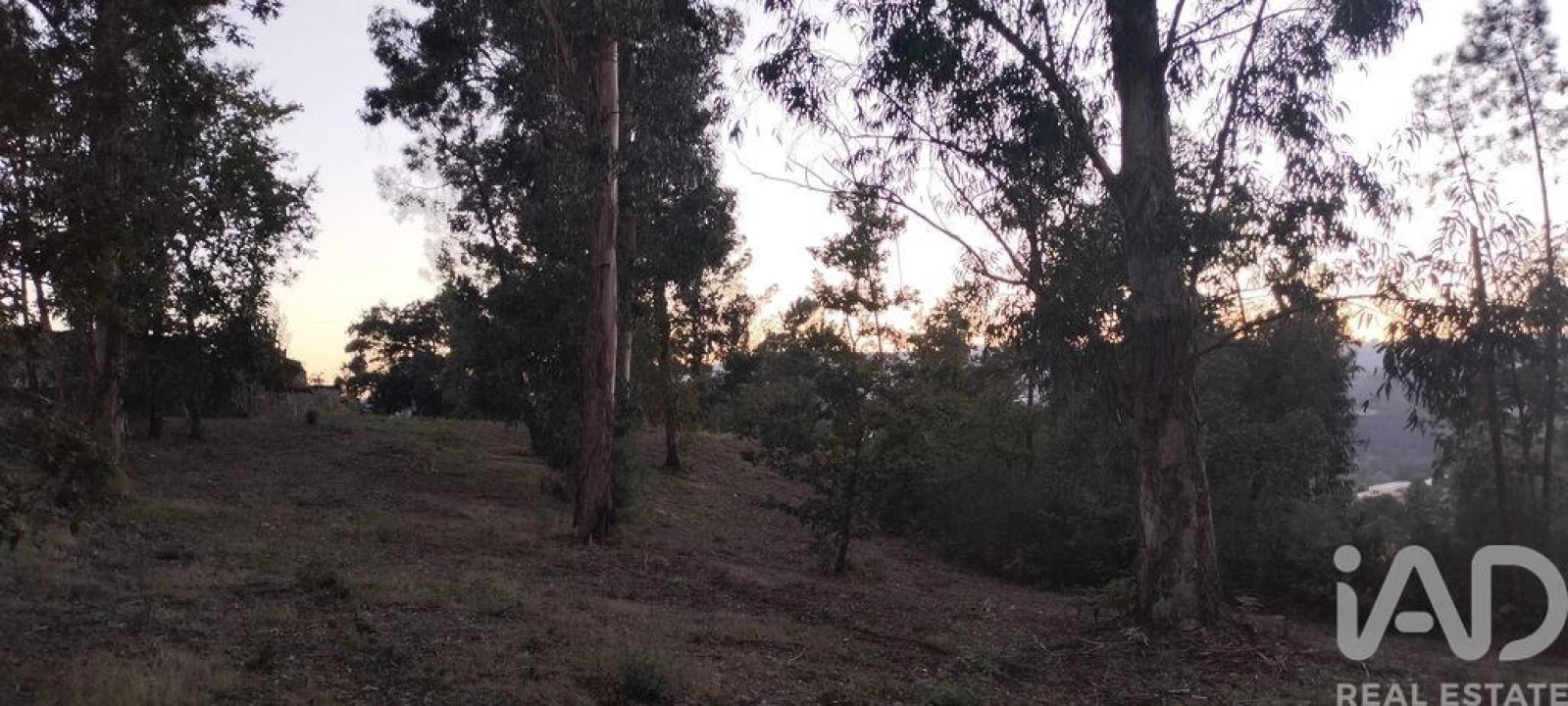 Terreno para Venda em Sande e São Lourenço Foto 26