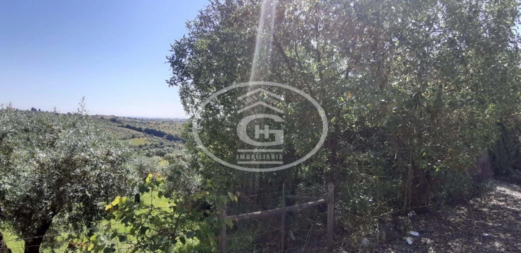 Moradia T2 para Venda em Moçarria Foto 9