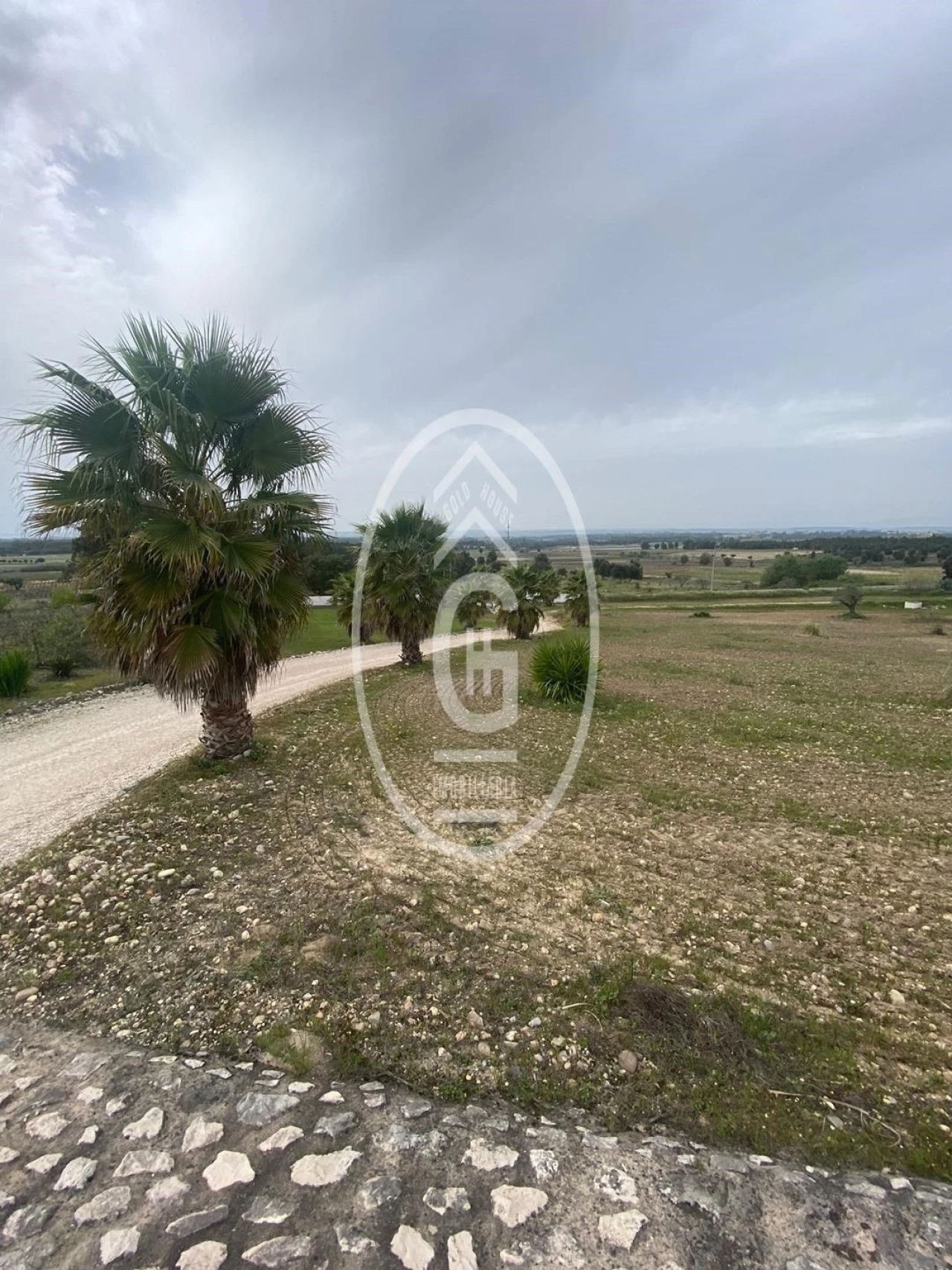 Quinta T4 para Venda em Alpiarça Foto 32