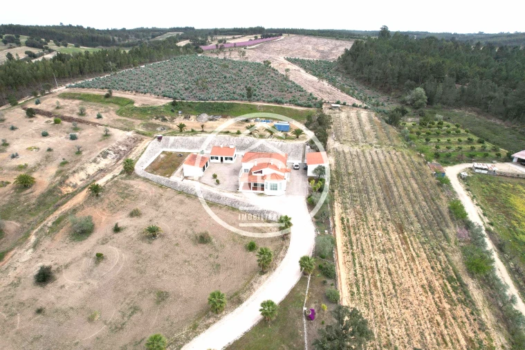 Quinta T4 para Venda em Alpiarça