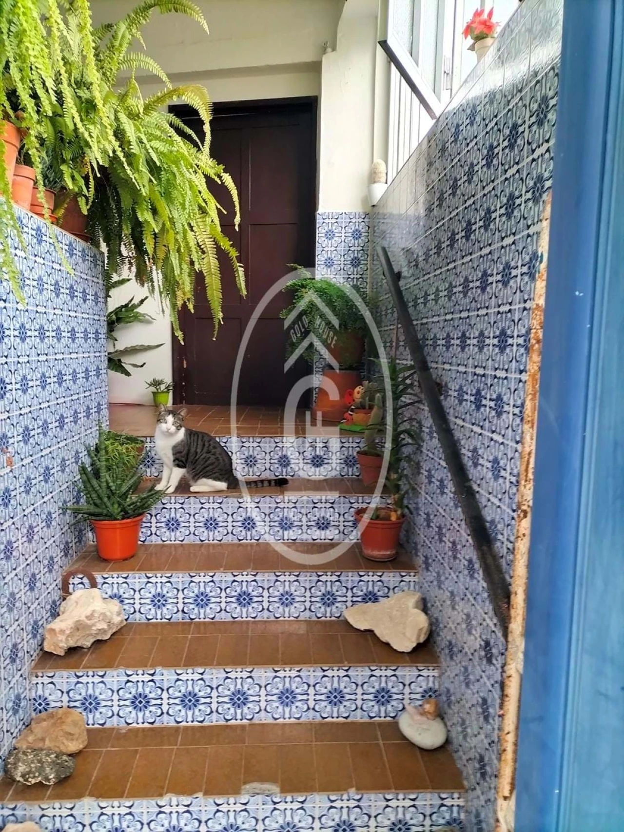 Moradia T3 para Venda em Chamusca e Pinheiro Grande Foto 10