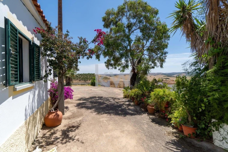 Quinta T5 para Venda em Alcaria Ruiva Foto 52