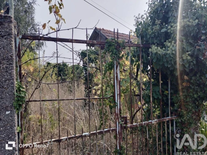 Moradia T2 para Venda em Viariz Foto 11