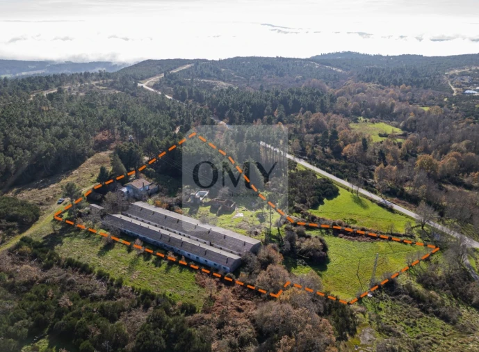 Moradia T3 para Venda em São Lourenço de Ribapinhão Foto 1