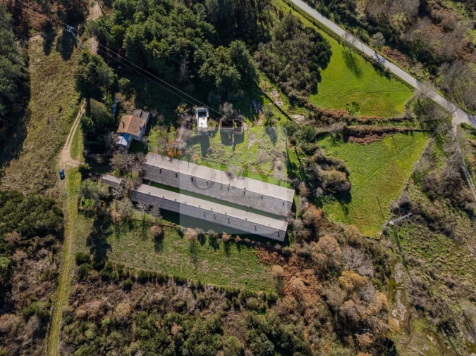 Moradia T3 para Venda em São Lourenço de Ribapinhão Foto 3