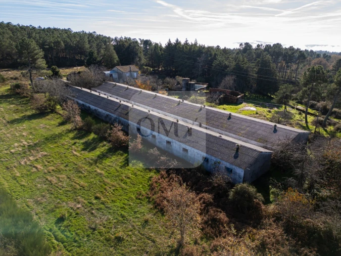 Moradia T3 para Venda em São Lourenço de Ribapinhão Foto 7