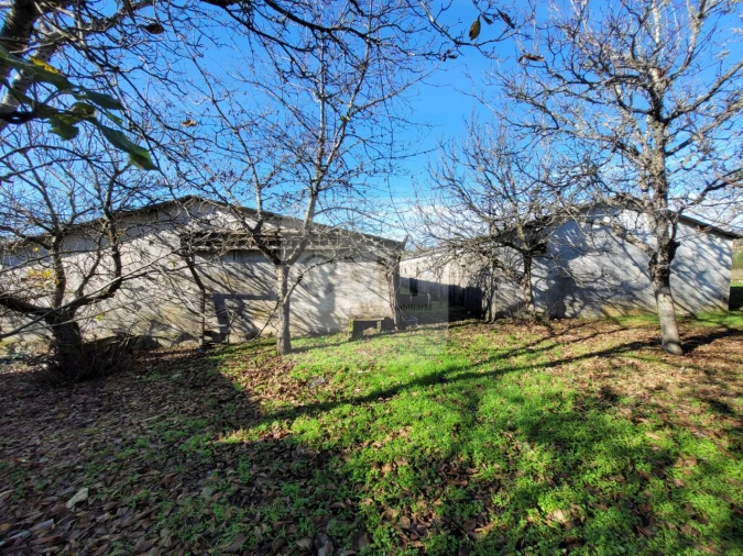 Moradia T3 para Venda em São Lourenço de Ribapinhão Foto 13