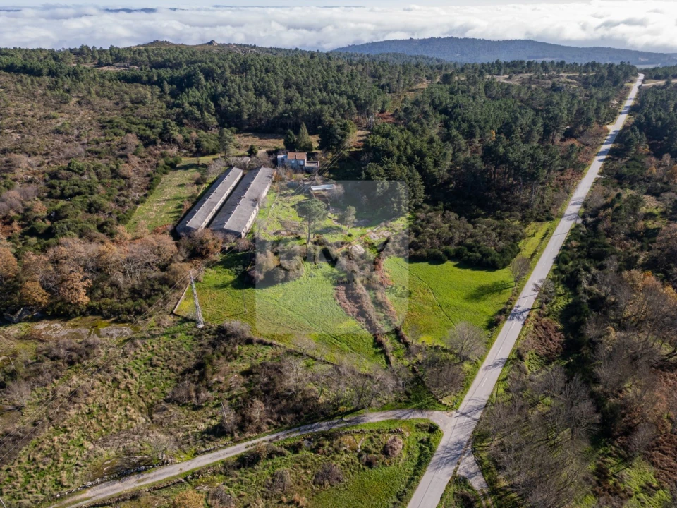 Quinta T3 para Venda em São Lourenço de Ribapinhão Foto 2