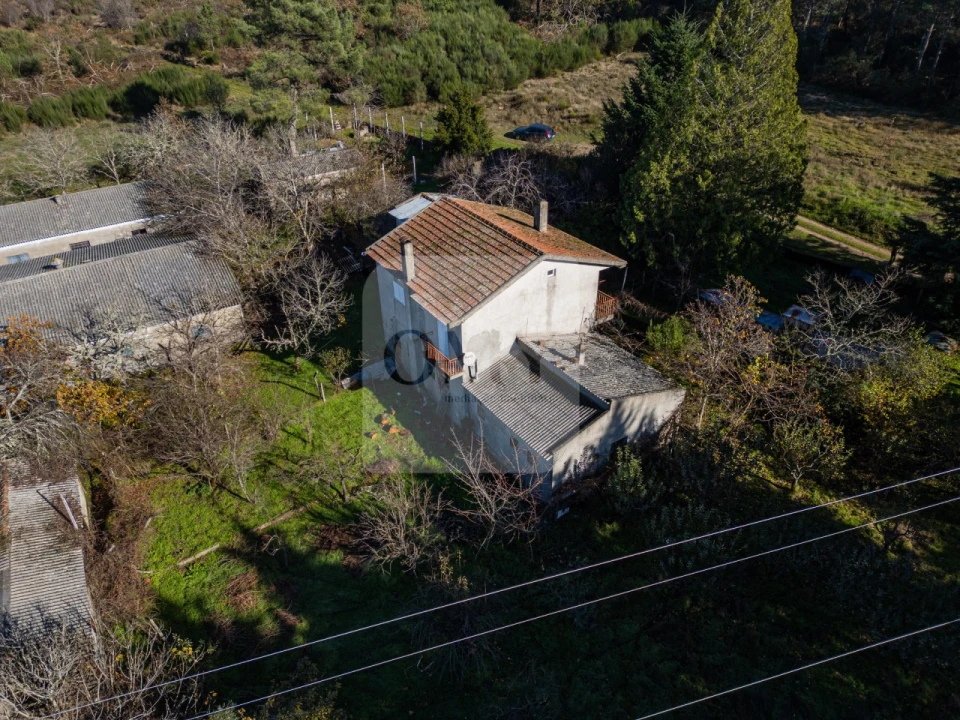 Quinta T3 para Venda em São Lourenço de Ribapinhão Foto 9