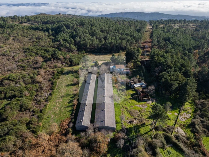 Quinta T3 para Venda em São Lourenço de Ribapinhão Foto 4