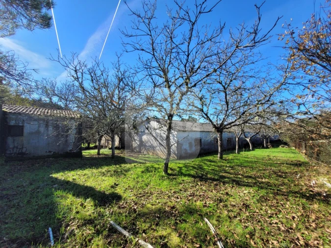 Quinta T3 para Venda em São Lourenço de Ribapinhão Foto 14