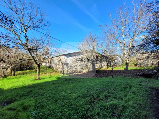 Quinta T3 para Venda em São Lourenço de Ribapinhão Foto 15