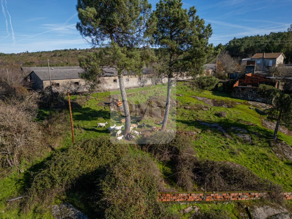Terreno para Venda em São Lourenço de Ribapinhão Foto 8