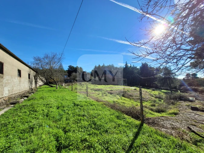 Terreno para Venda em São Lourenço de Ribapinhão Foto 16