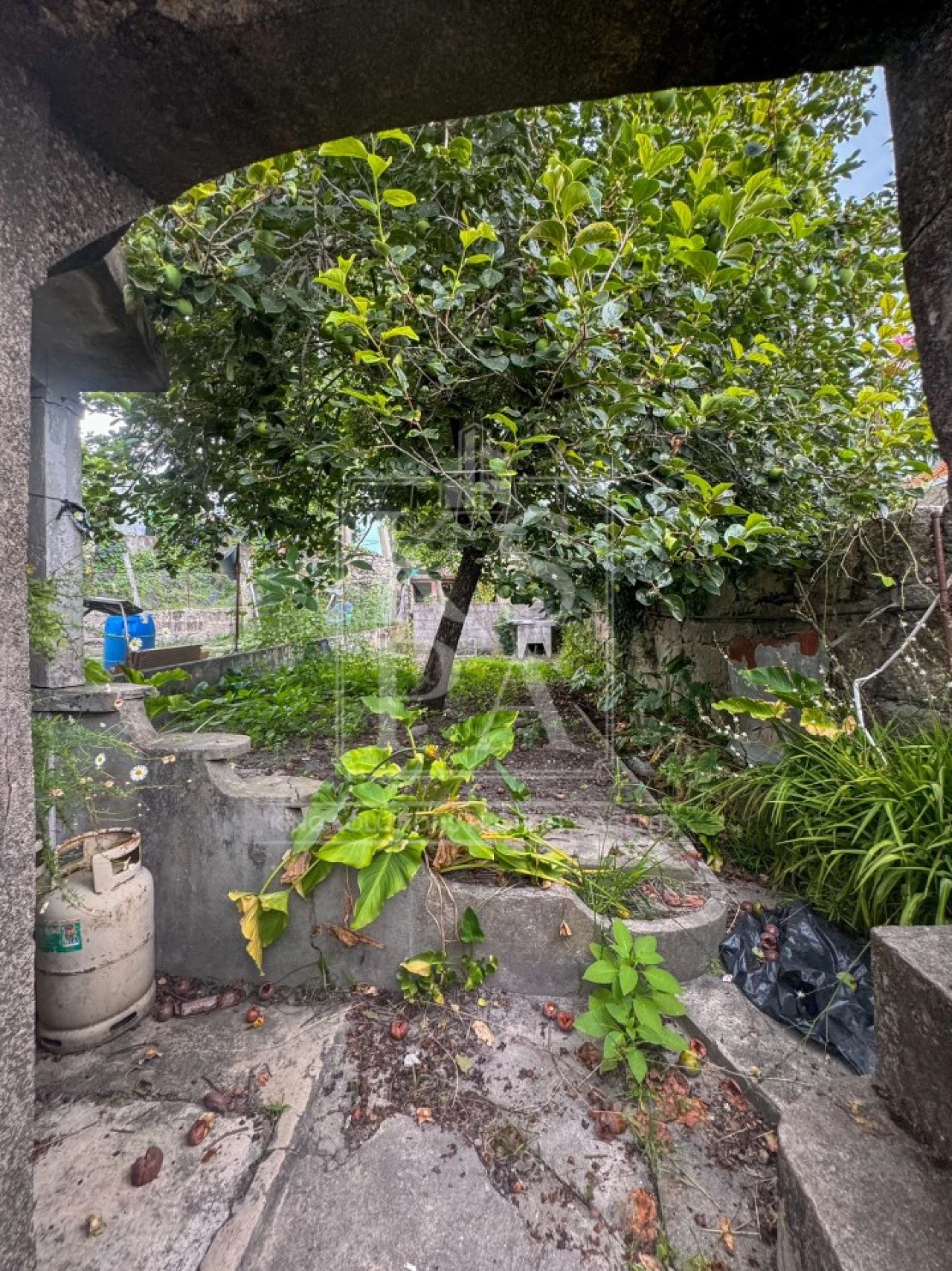 Prédio para Venda em Campanhã Foto 15