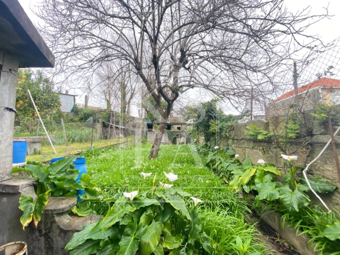 Prédio para Venda em Campanhã Foto 16