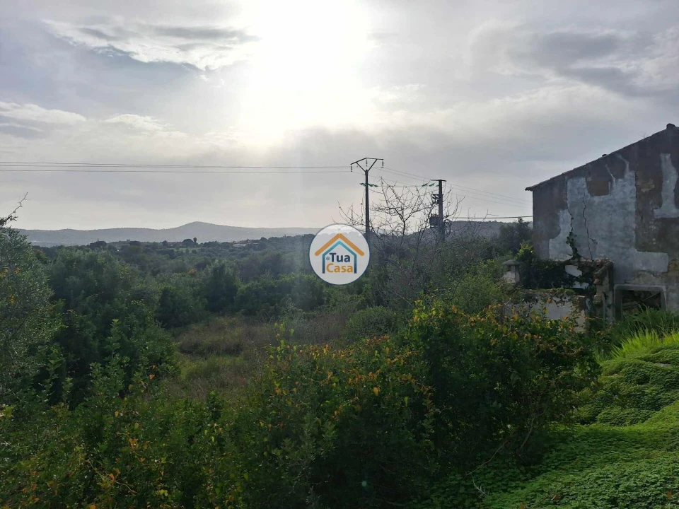 Terreno para Venda em Loule (São Clemente) Foto 3