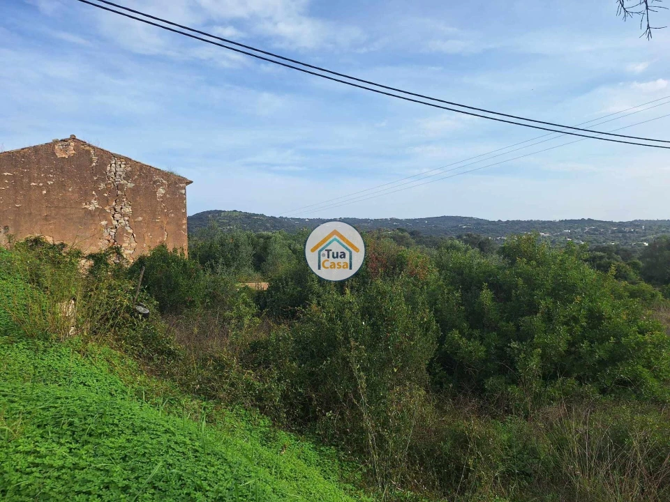 Terreno para Venda em Loule (São Clemente) Foto 6