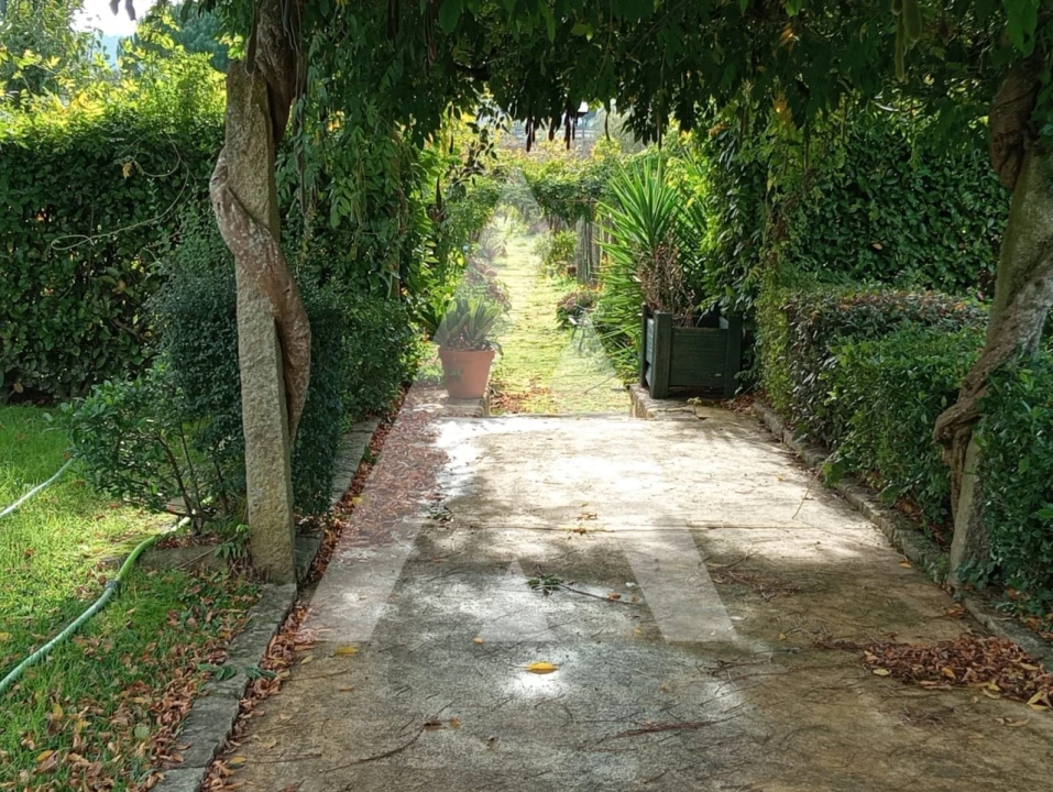 Quinta T6 para Venda em Correlhã Foto 10