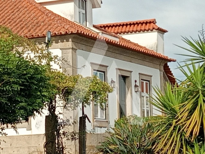 Quinta T6 para Venda em Correlhã Foto 3