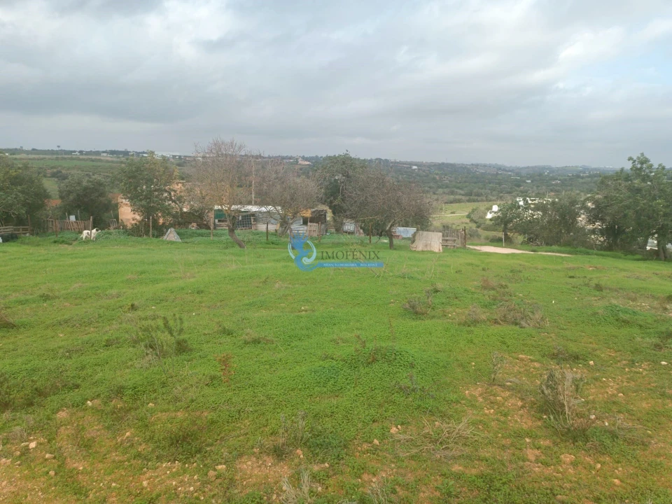 Terreno para Venda em Guia Foto 5