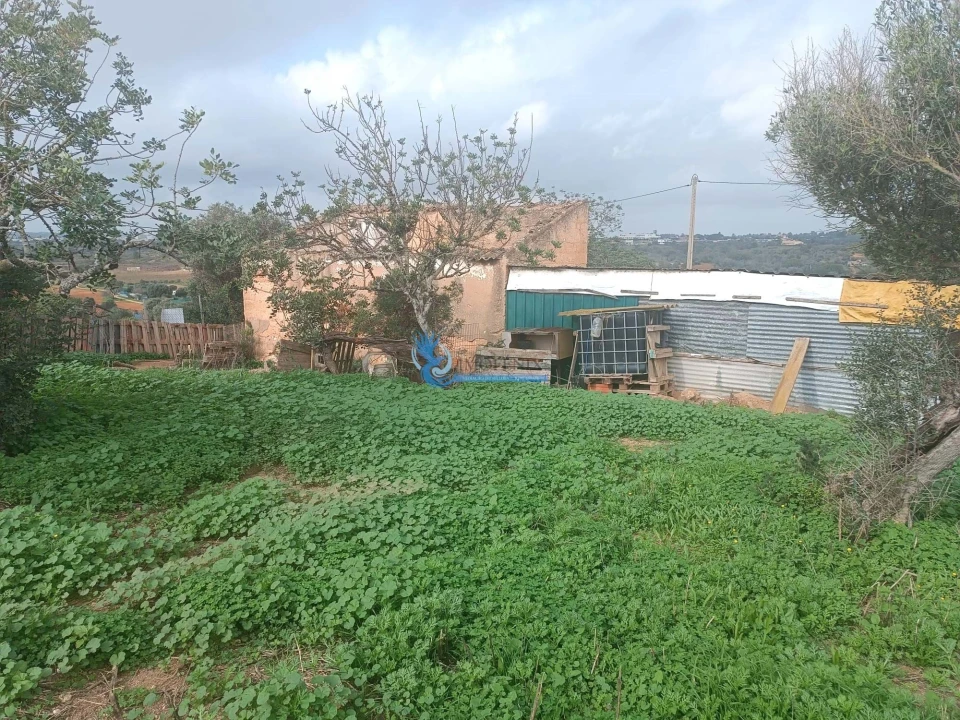 Terreno para Venda em Guia Foto 3