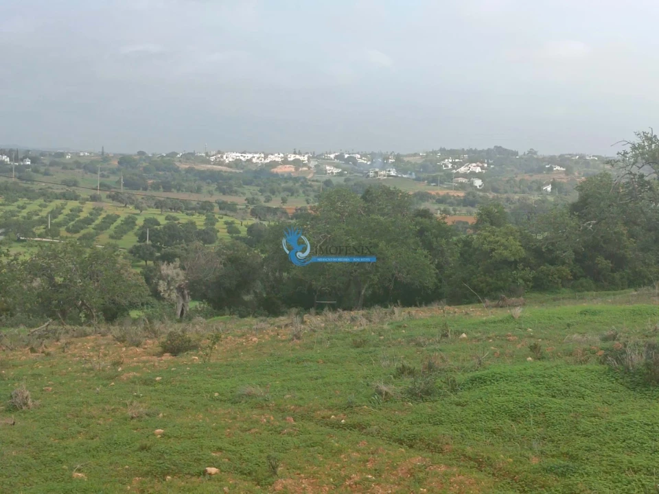 Terreno para Venda em Guia Foto 6