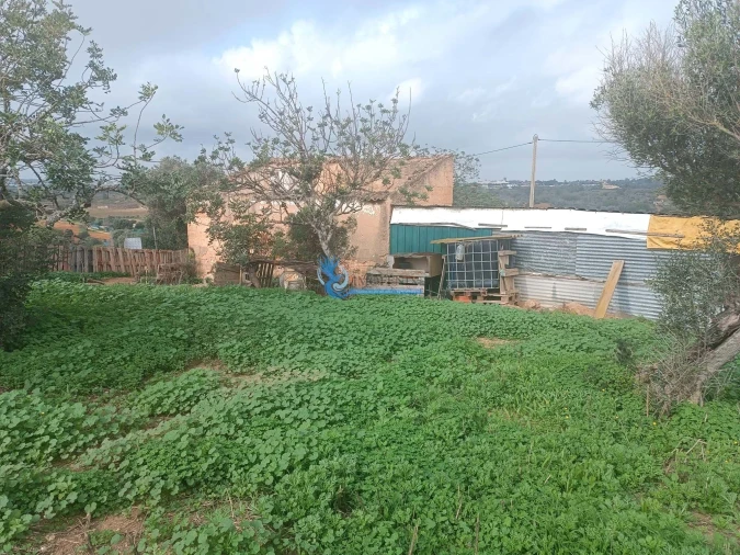 Terreno para Venda em Guia Foto 3