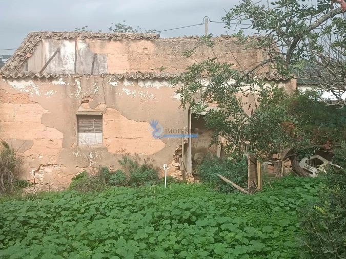 Terreno para Venda em Guia Foto 2