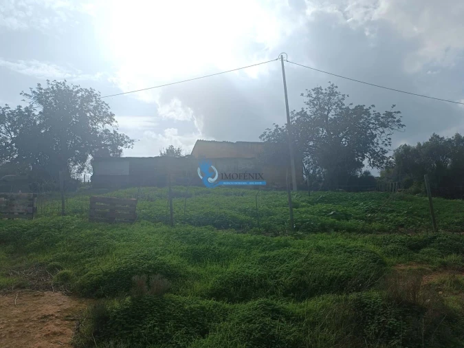 Terreno para Venda em Guia Foto 7