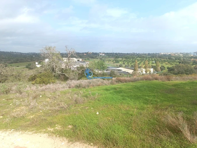 Terreno para Venda em Guia Foto 9