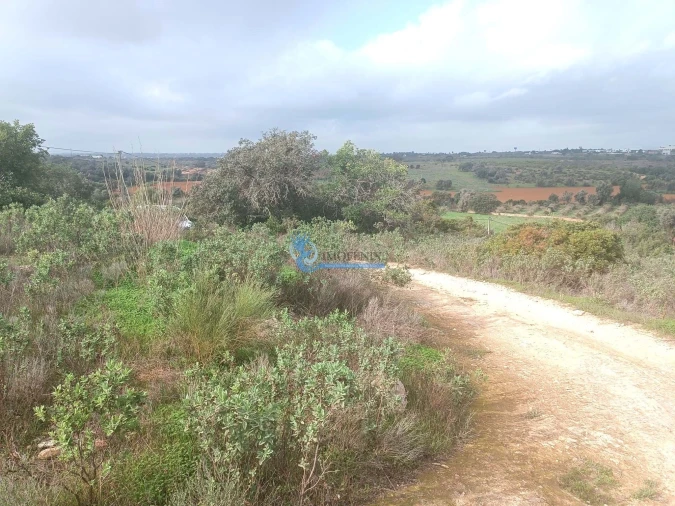 Terreno para Venda em Guia Foto 10