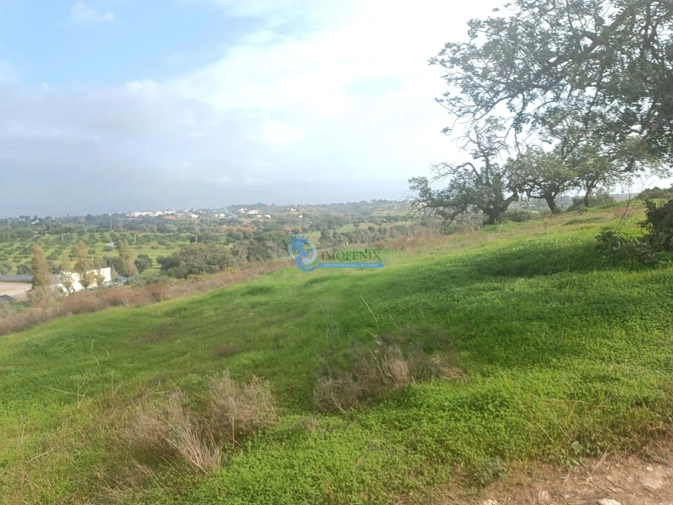 Terreno para Venda em Guia Foto 8